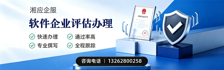 天津软件企业评估申报服务