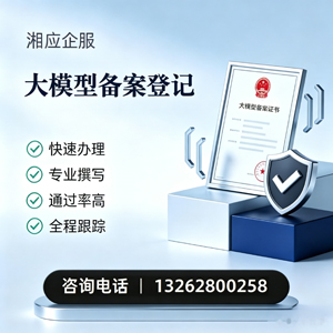 天津大模型备案申报服务