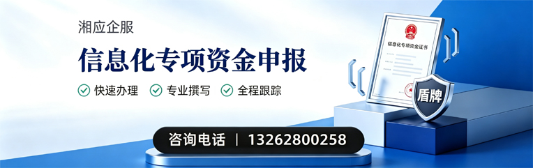 天津信息化专项资金申报服务