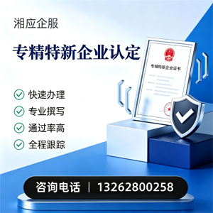 天津专精特新企业申报服务