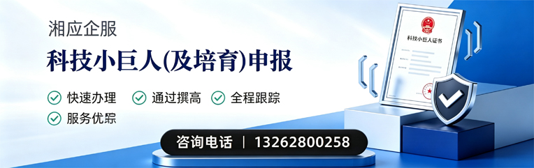 天津科技小巨人及培育企业申报服务