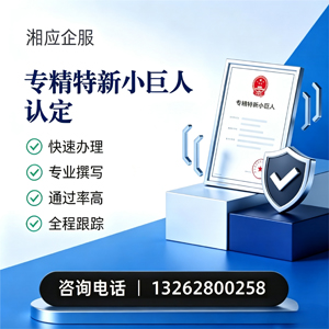 天津专精特新小巨人申报服务