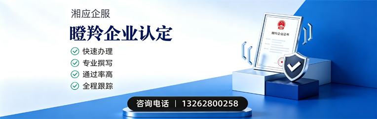 天津瞪羚企业认定申报服务
