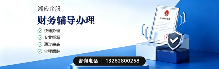 天津财务辅导申请服务