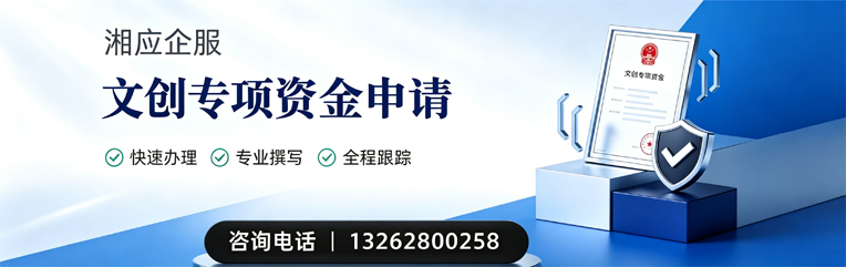 天津文创专项资金申报服务