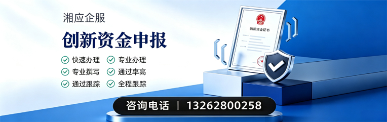 天津创新资金申报服务