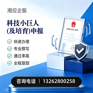 天津科技小巨人及培育企业申报服务