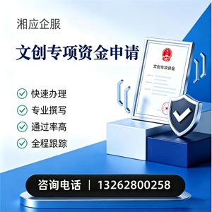 天津文创专项资金申报服务