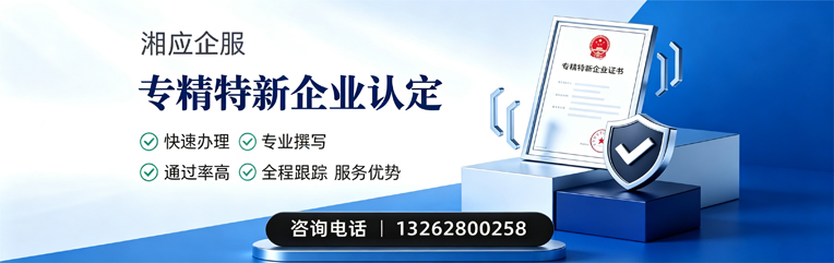 天津专精特新企业申报服务
