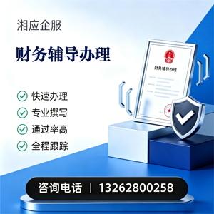 天津财务辅导申请服务