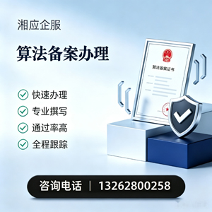 天津算法备案申报服务