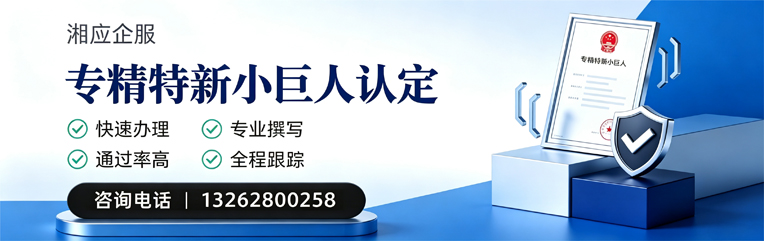 天津专精特新小巨人申报服务